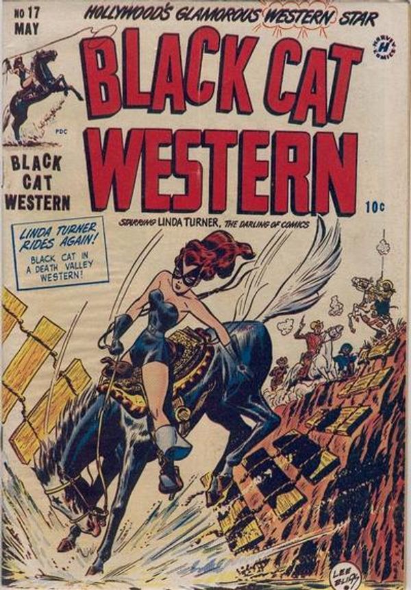 Black Cat Comics #17