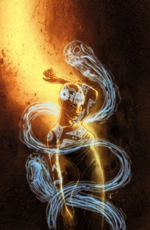 Ninjak #24 (Cover E 50 Copy Cover Templesmith)
