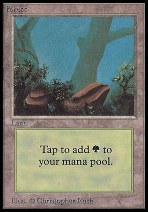 Forest (Mushrooms) (Alpha)