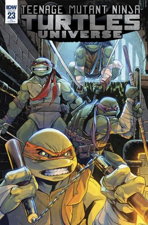 Teenage Mutant Ninja Turtles Universe #23 (10 Copy Cover)