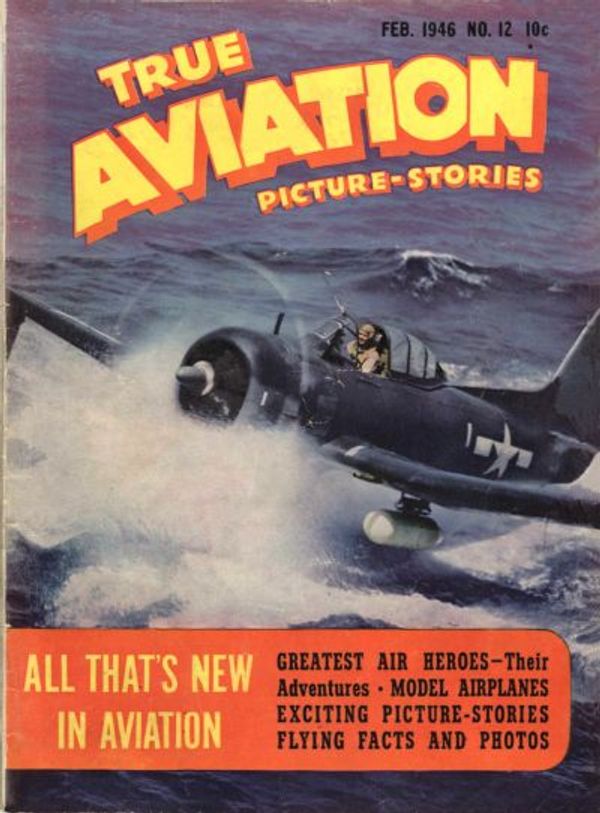 True Aviation Picture Stories 12 Value GoCollect (trueaviation