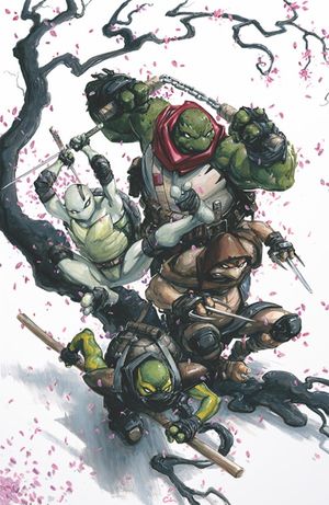 Teenage Mutant Ninja Turtles: The Last Ronin II - Re-Evolution #1 (Crain Virgin Edition)