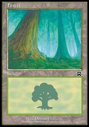 Forest (Mercadian Masques) Trading Card