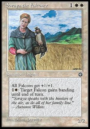 Soraya the Falconer (Homelands)