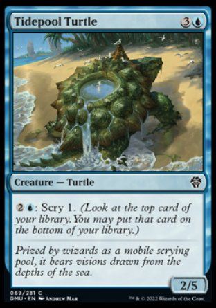 Tidepool Turtle (Dominaria United) Trading Card