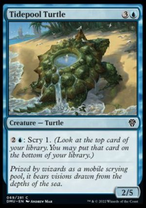 Tidepool Turtle (Dominaria United)