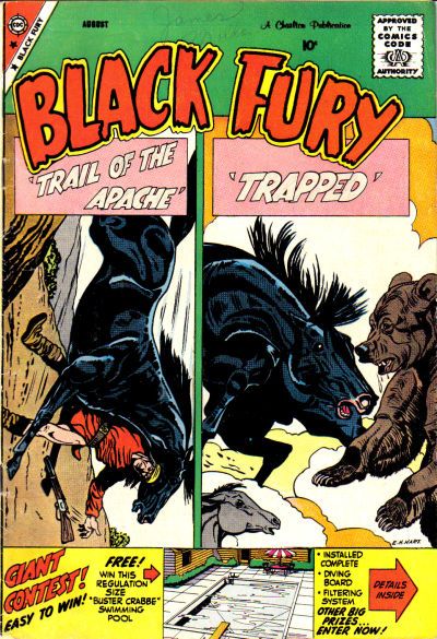 Black Fury #20 Comic