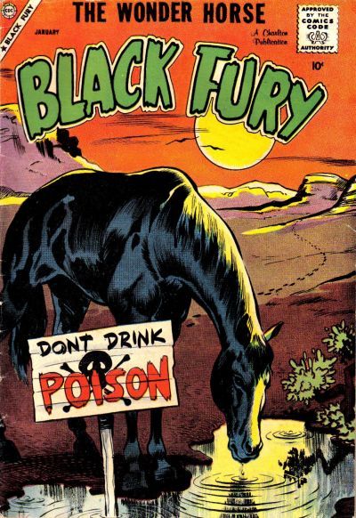 Black Fury #17 Comic