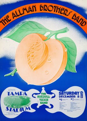 Allman Brothers & Marshall Tucker Band Tampa Stadium 1973