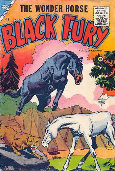 Black Fury #3 Comic