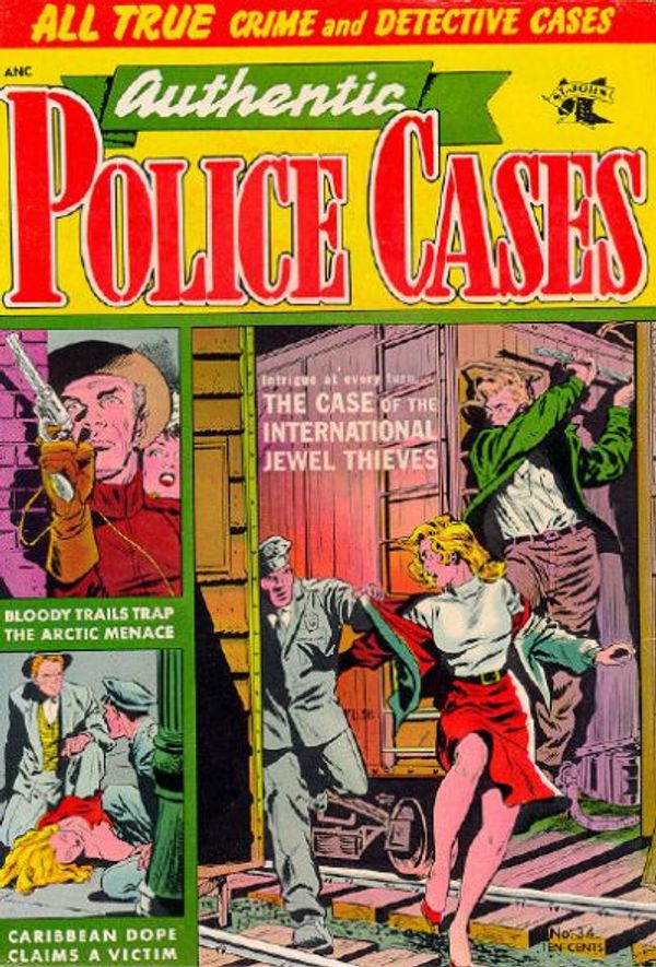 Authentic Police Cases #34