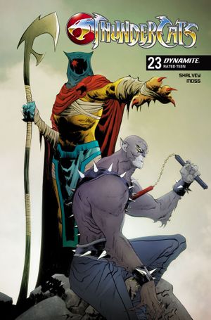 Thundercats #23 (Cvr C Jae Lee Variant)