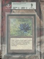 Black Lotus (Collector's Edition)
