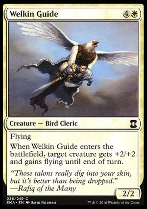 Welkin Guide (Eternal Masters)