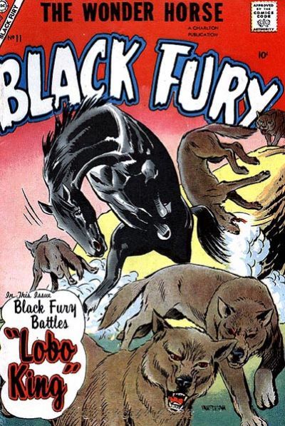 Black Fury #11 Comic