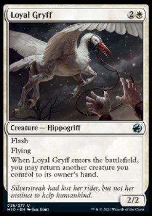 Loyal Gryff (Innistrad: Midnight Hunt) Trading Card