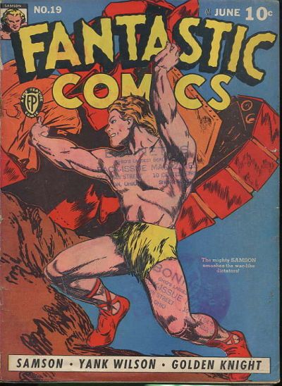 Fantastic Comics #19 Comic