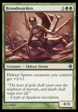 Broodwarden (Rise of the Eldrazi) Trading Card