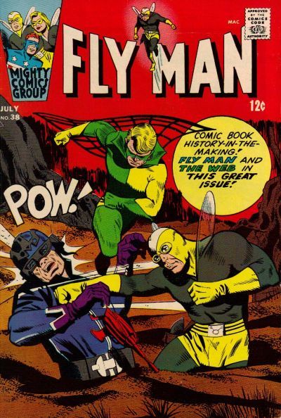 Fly Man #38 Comic