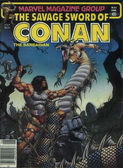 The Savage Sword of Conan #65 Comic