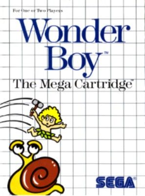 Wonder Boy Video Game