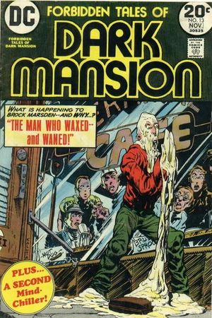 Forbidden Tales of Dark Mansion #13