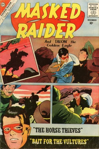 Masked Raider #27 Comic