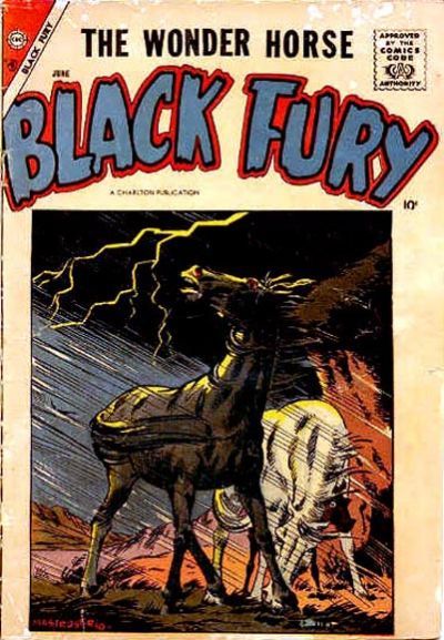 Black Fury #14 Comic