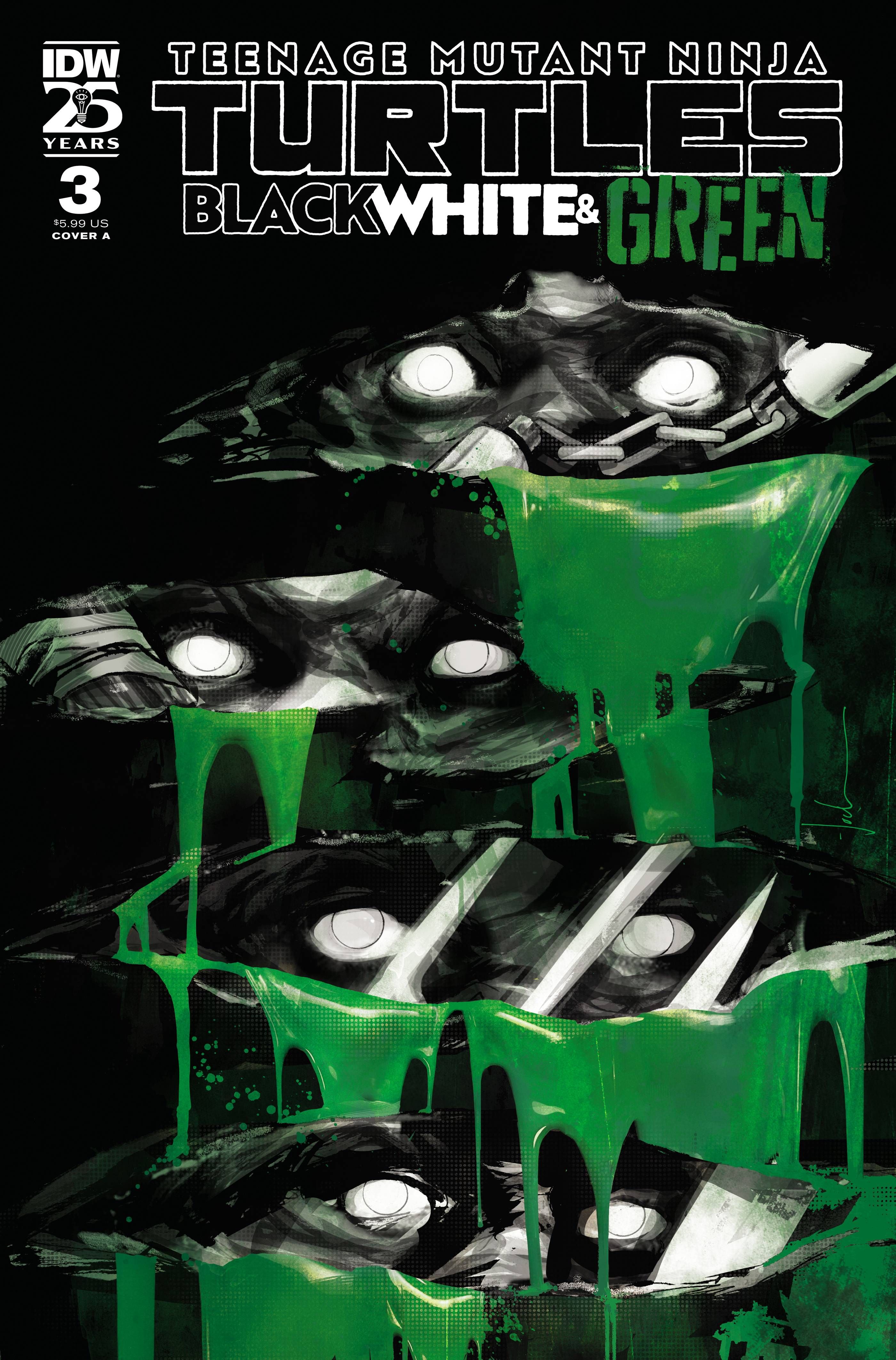 Teenage Mutant Ninja Turtles: Black, White, & Green #3 Comic