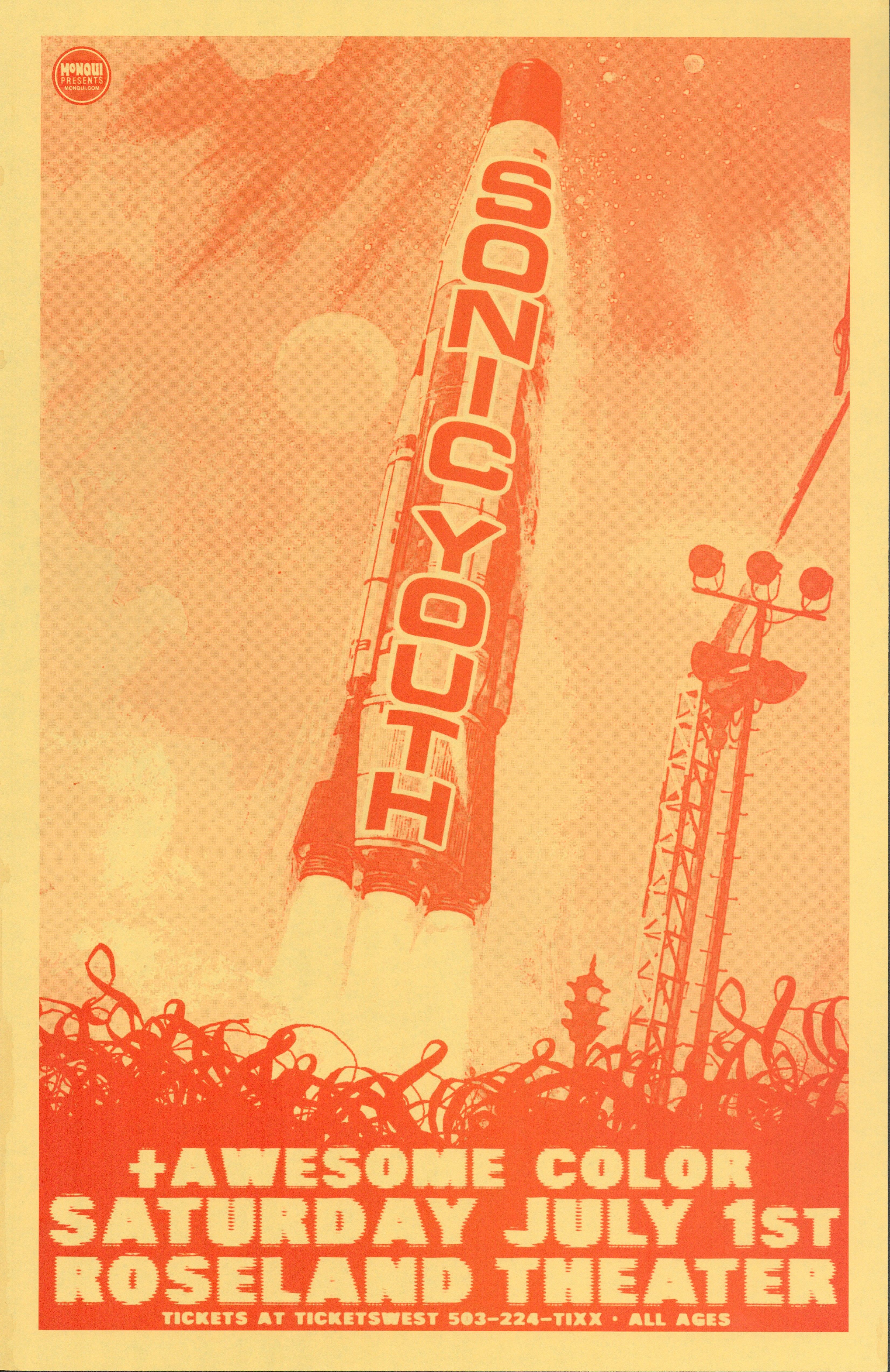 Sonic Youth Concert Poster Values - GoCollect (sonic-youth )