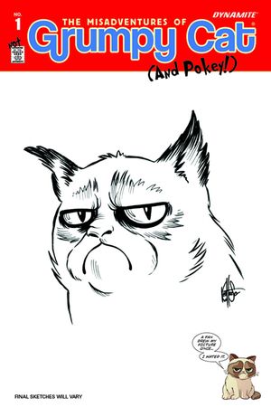 Grumpy Cat #1 (Haeser Hand Drawn Orig Art Cover)