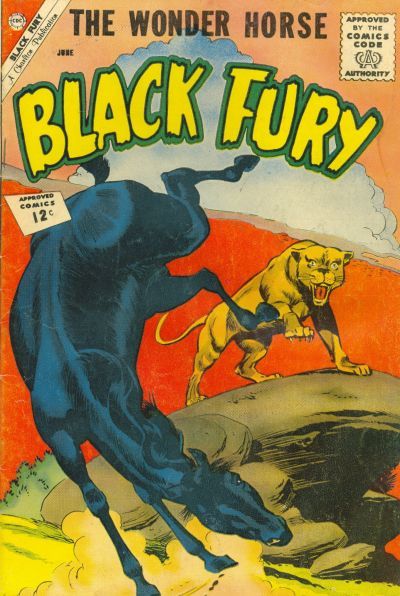 Black Fury #36 Comic