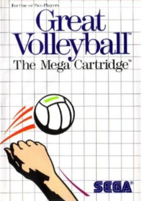 Great Volleyball Video Game