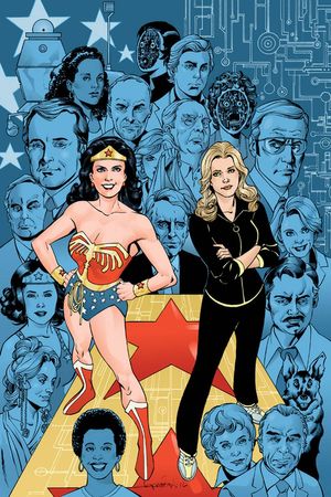 Wonder Woman '77 Meets the Bionic Woman #2 (Cover E)