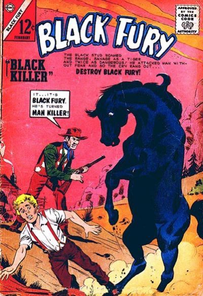 Black Fury #46 Comic