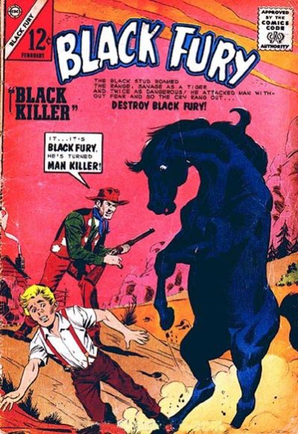 Black Fury #46
