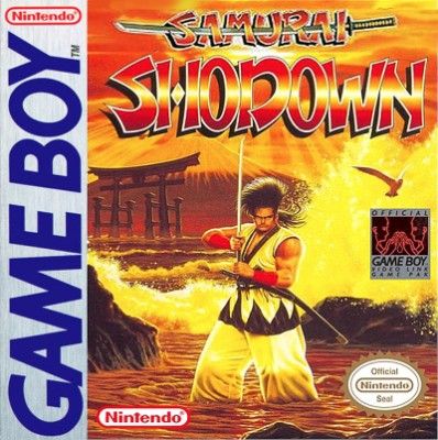 Samurai Shodown Video Game