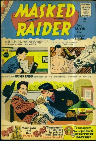 Masked Raider #24 Comic