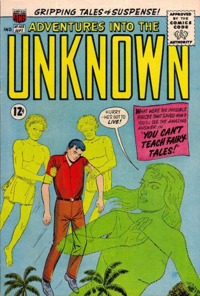 Adventures into the Unknown #143 Comic