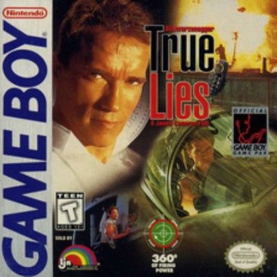 True Lies Video Game