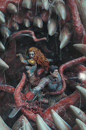 Red Sonja vs. the Army of Darkness #5 (Cvr J 1:15 Inc Bjorn Barends Virgin Variant)
