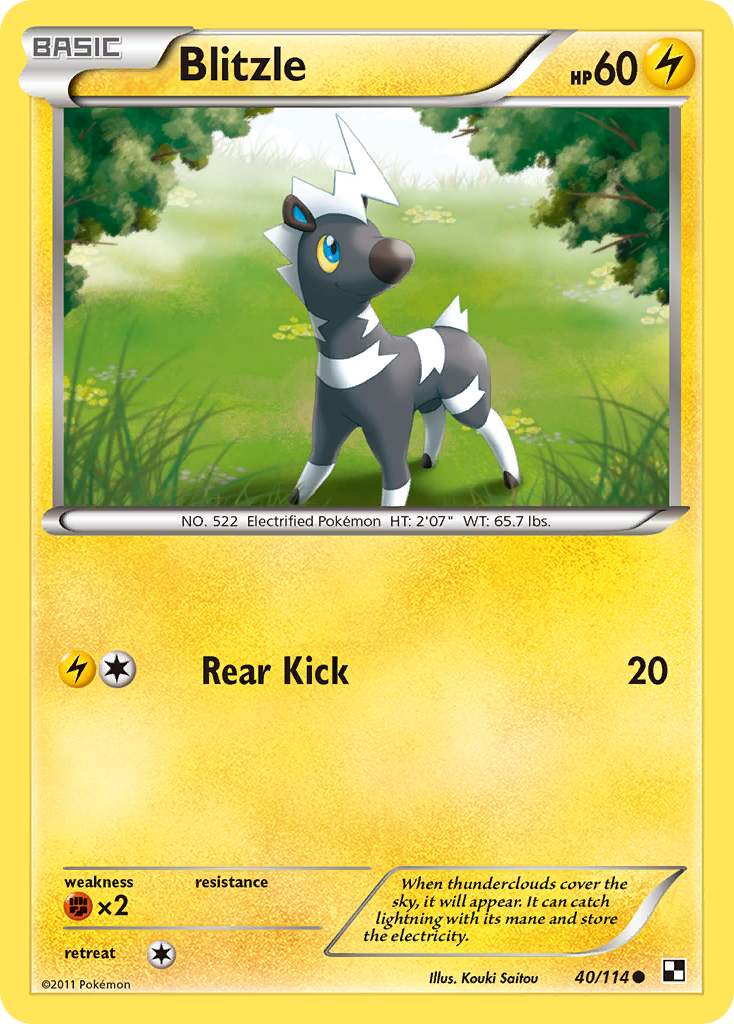 Blitzle (40/114) - Black & White Pokémon Card