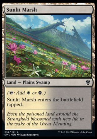 Sunlit Marsh (Dominaria United) Trading Card