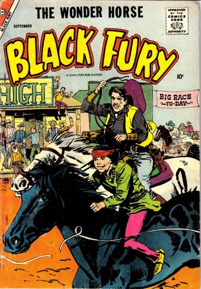 Black Fury #15 Comic