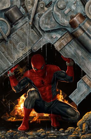 Amazing Spider-Man #14 (Lee Bermejo Amazing Visions Virgin Variant)