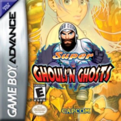 Super Ghouls 'N Ghosts Video Game