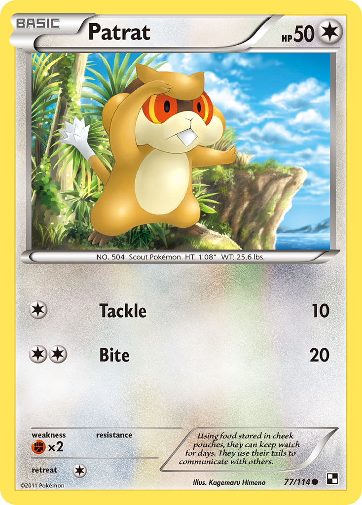 Patrat (77/114) - Black & White Pokémon Card