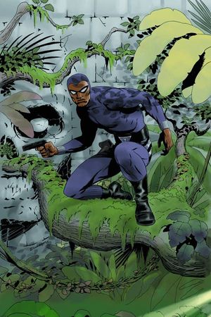 King The Phantom #1 (Rare Cooke Virgin Cover)