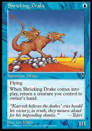 Shrieking Drake (Visions) Trading Card