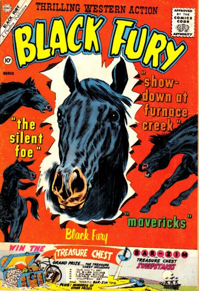 Black Fury #29 Comic